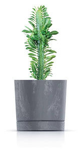 Vazonas gėlėms TUBO BETON EFFECT 342x390